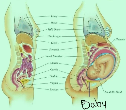 I helped clear up any confusion