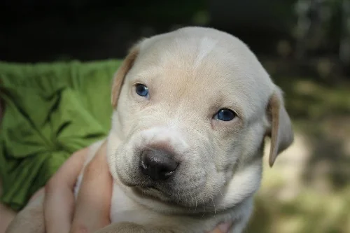 Baby Bubby!