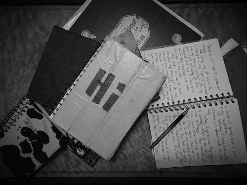 Dear Diary,