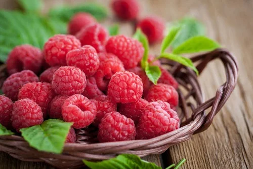 All weekend and we literally got one blurry picture of my mother-in-law holding Roman. So instead, please refresh yourselves on what raspberries look like.
