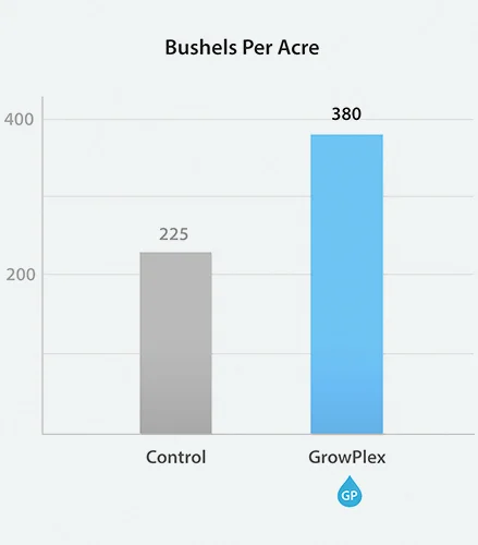 SweetCornGraph.jpg