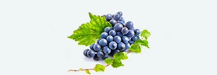 GrapesPic.jpg