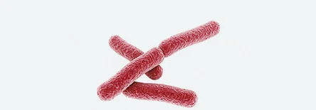 MicrobesPic.jpg