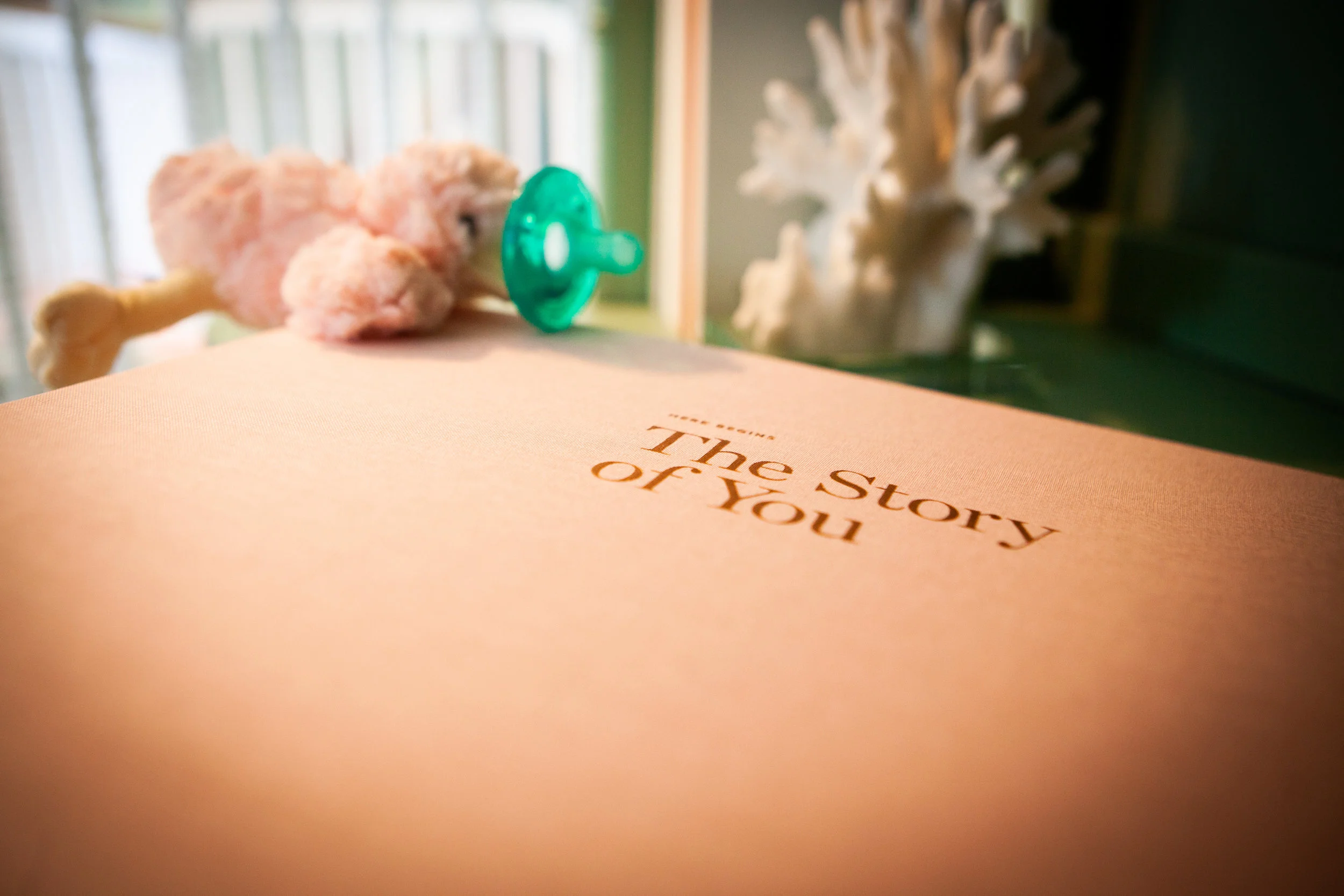 072718_Samuel_Nursery-121.jpg