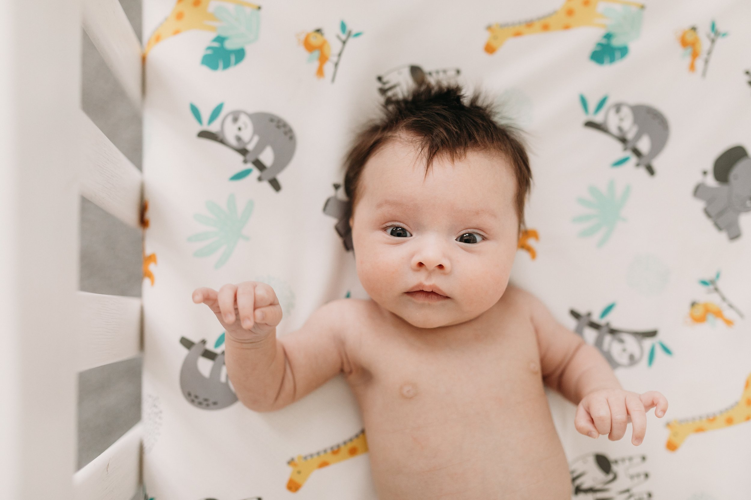 Best-newborn-photographers-in-nashville-tn.jpg