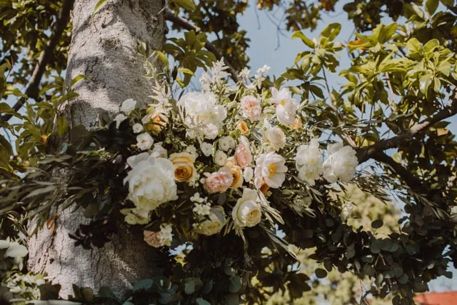 Katie + Alex (16 of 87).jpg