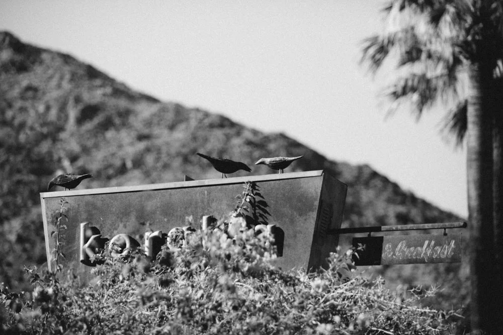 Danielle + Tom (14 of 49).jpg