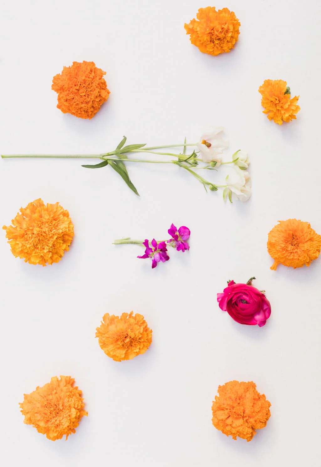 Karishma_Chris_Wedding-Preview-174321.jpg
