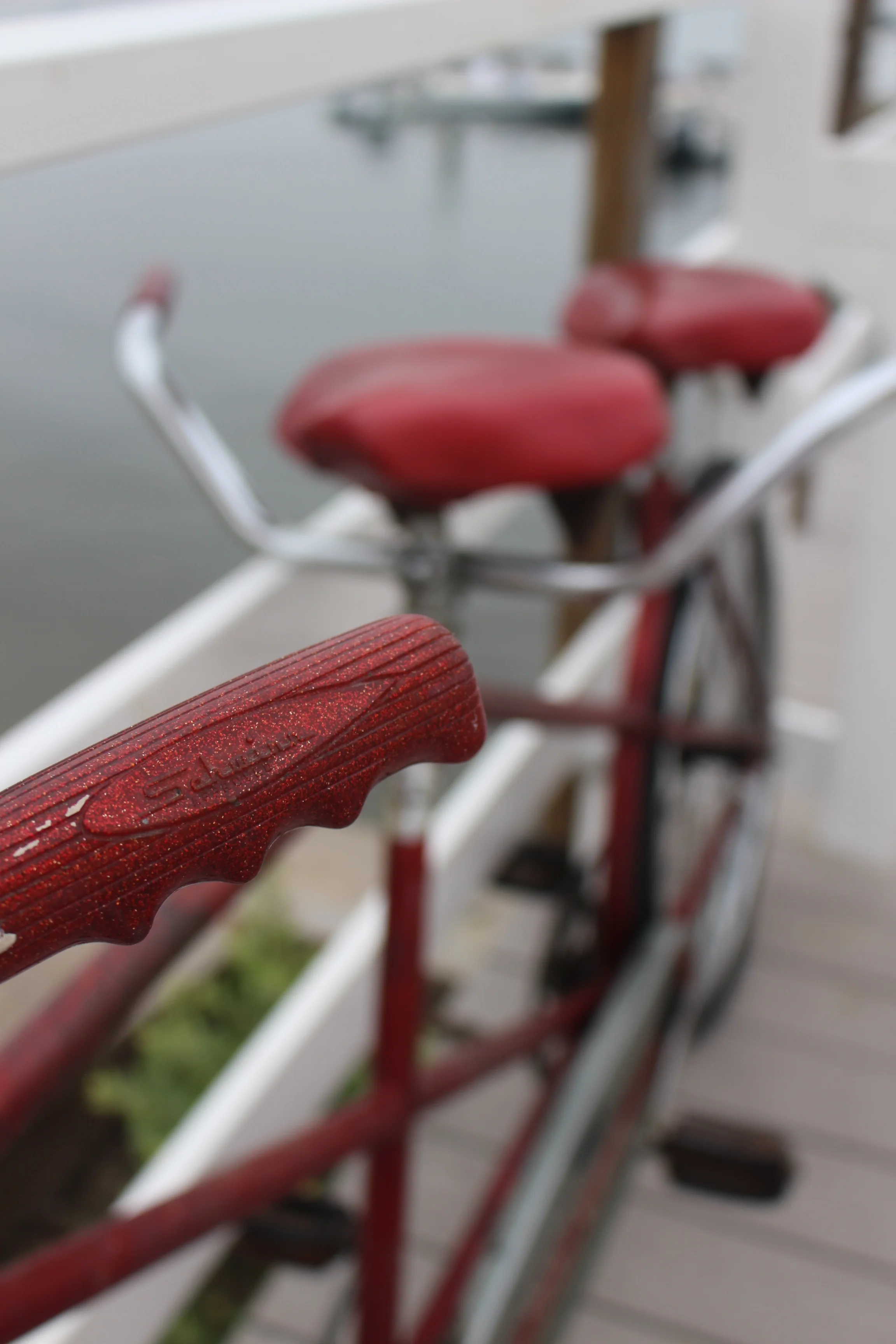 adoptiontandembike.jpg