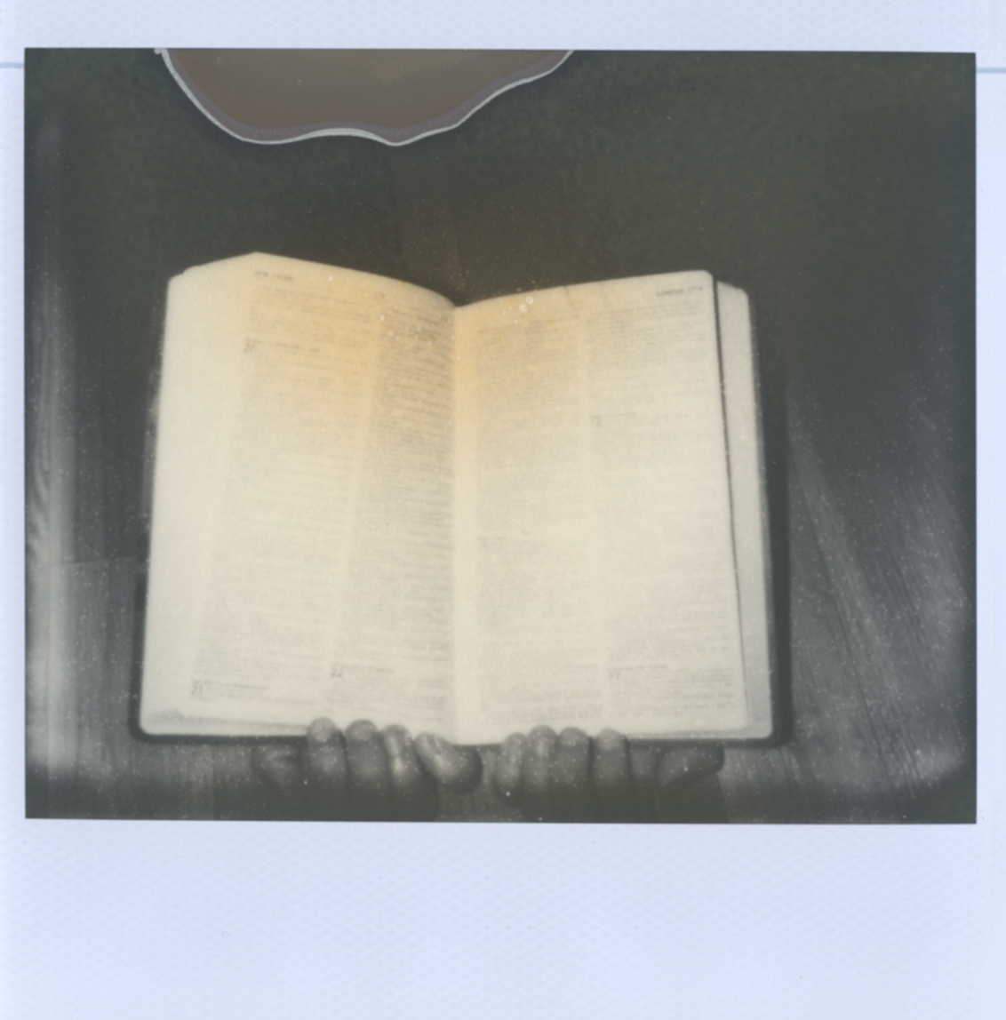 Polaroid Spectra Photograph