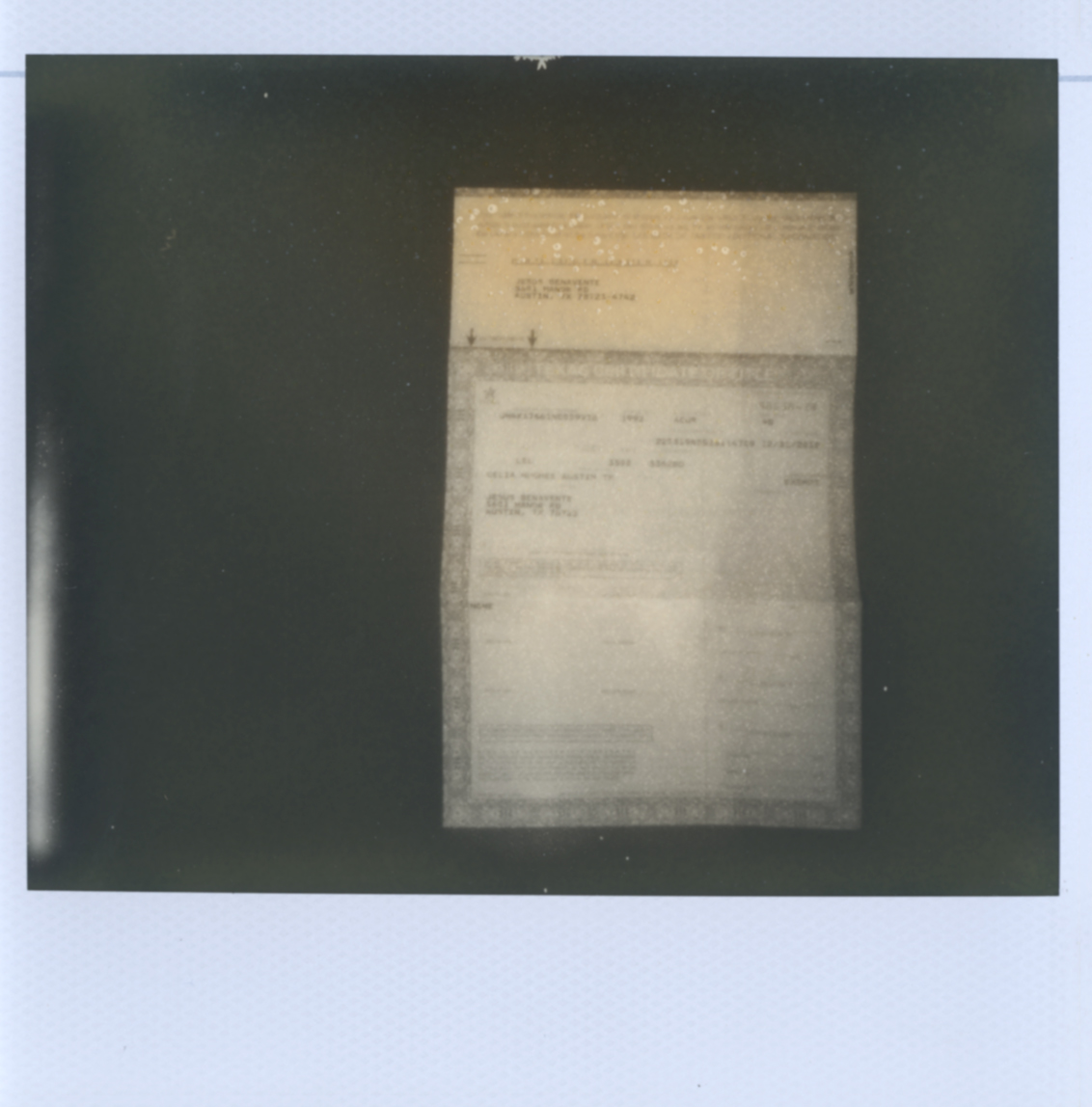 Polaroid Spectra Photograph