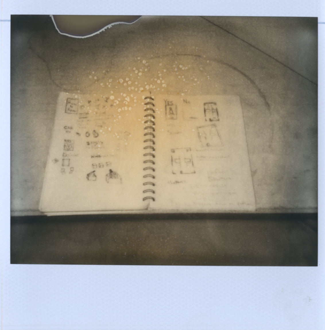 Polaroid Spectra Photograph