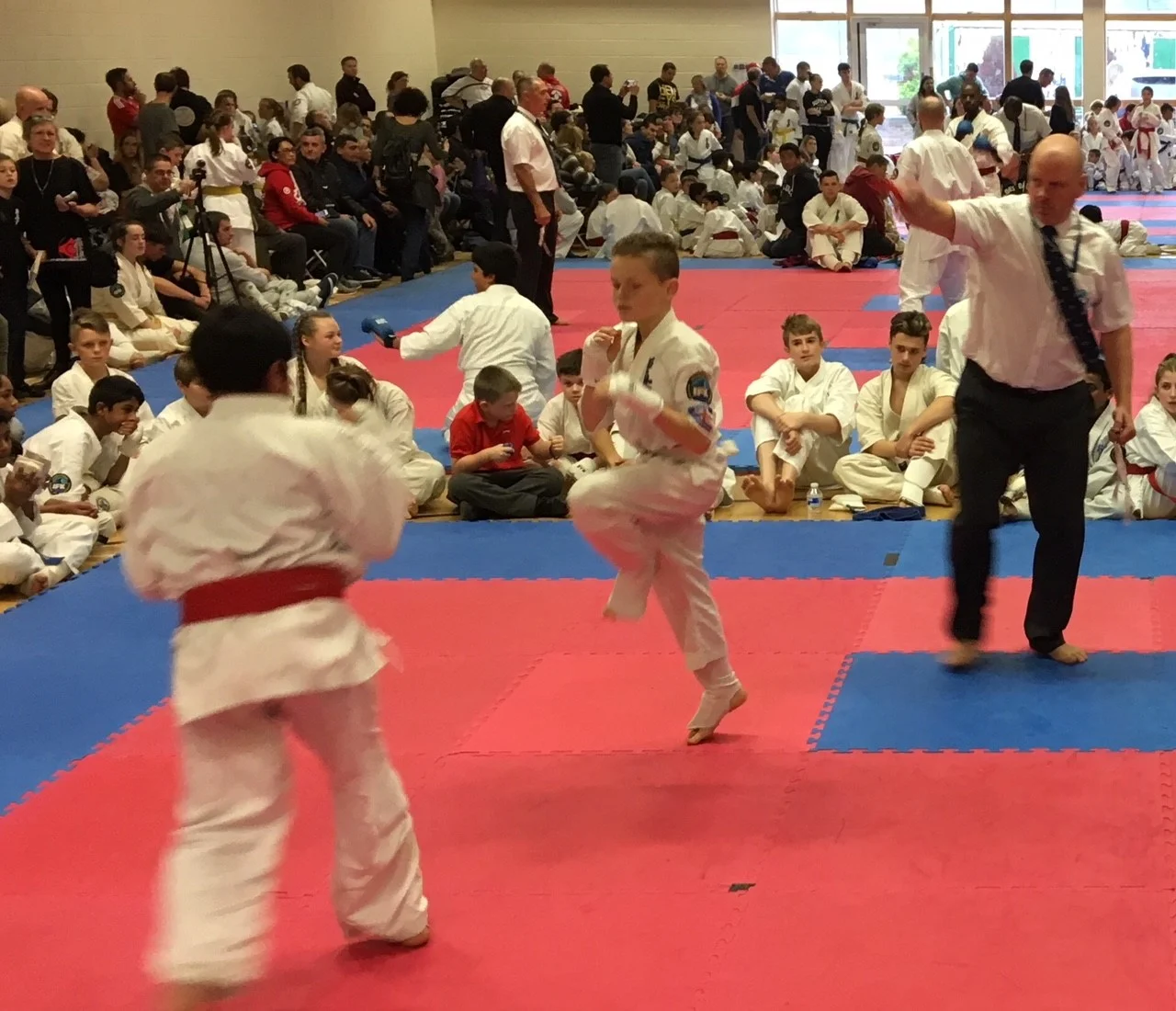Action1.jpg