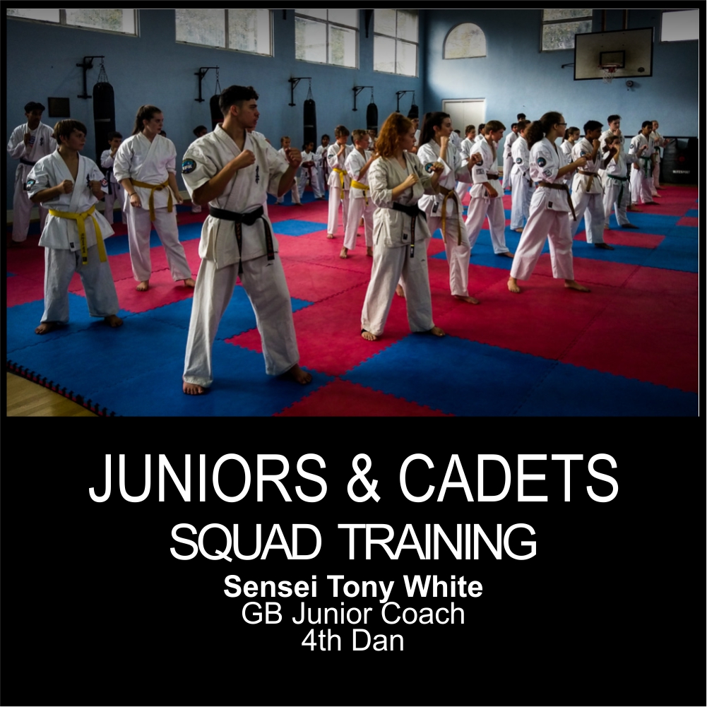squad training crawley 25th feb 2018-3.jpg