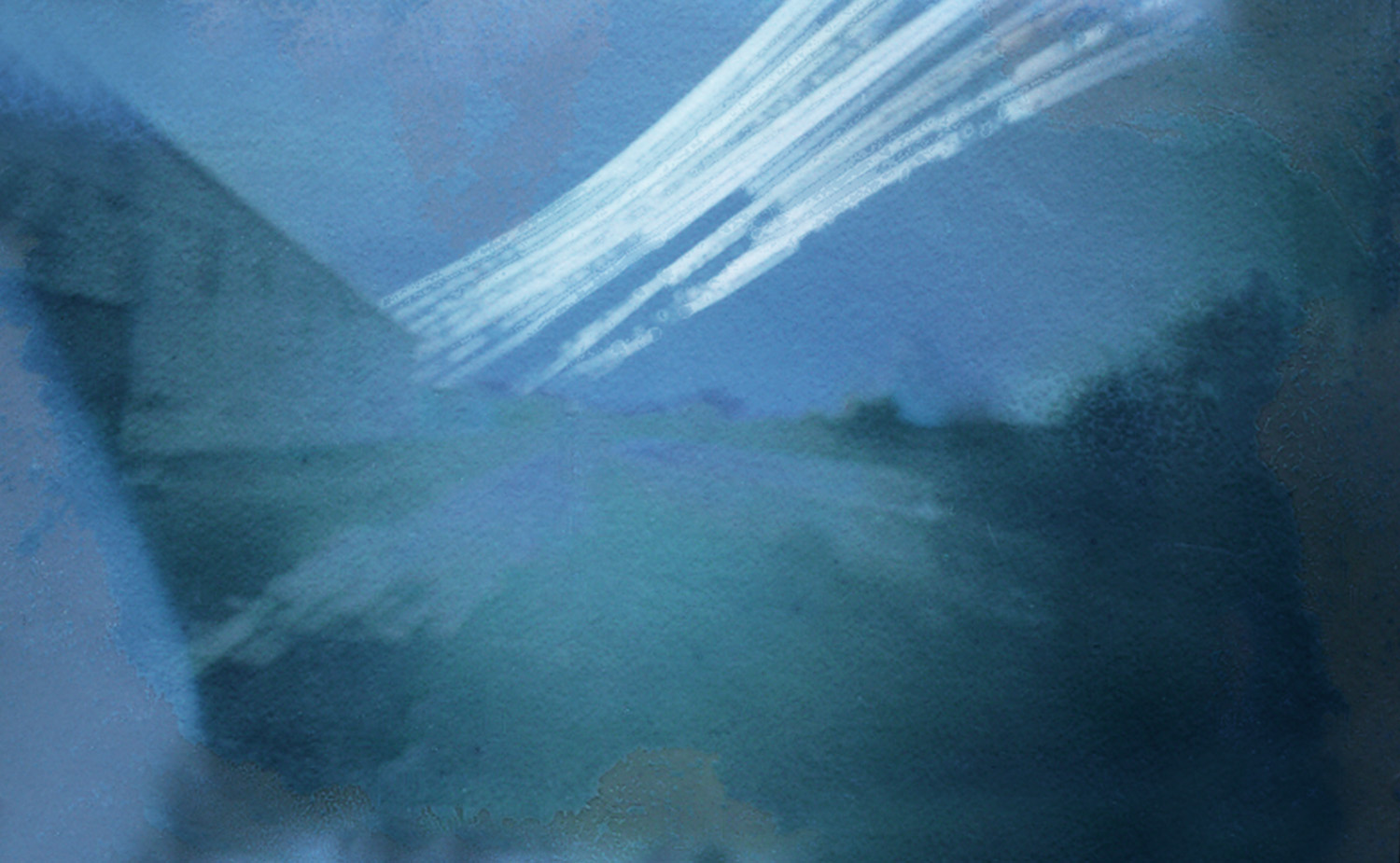 Janet Neuhauser