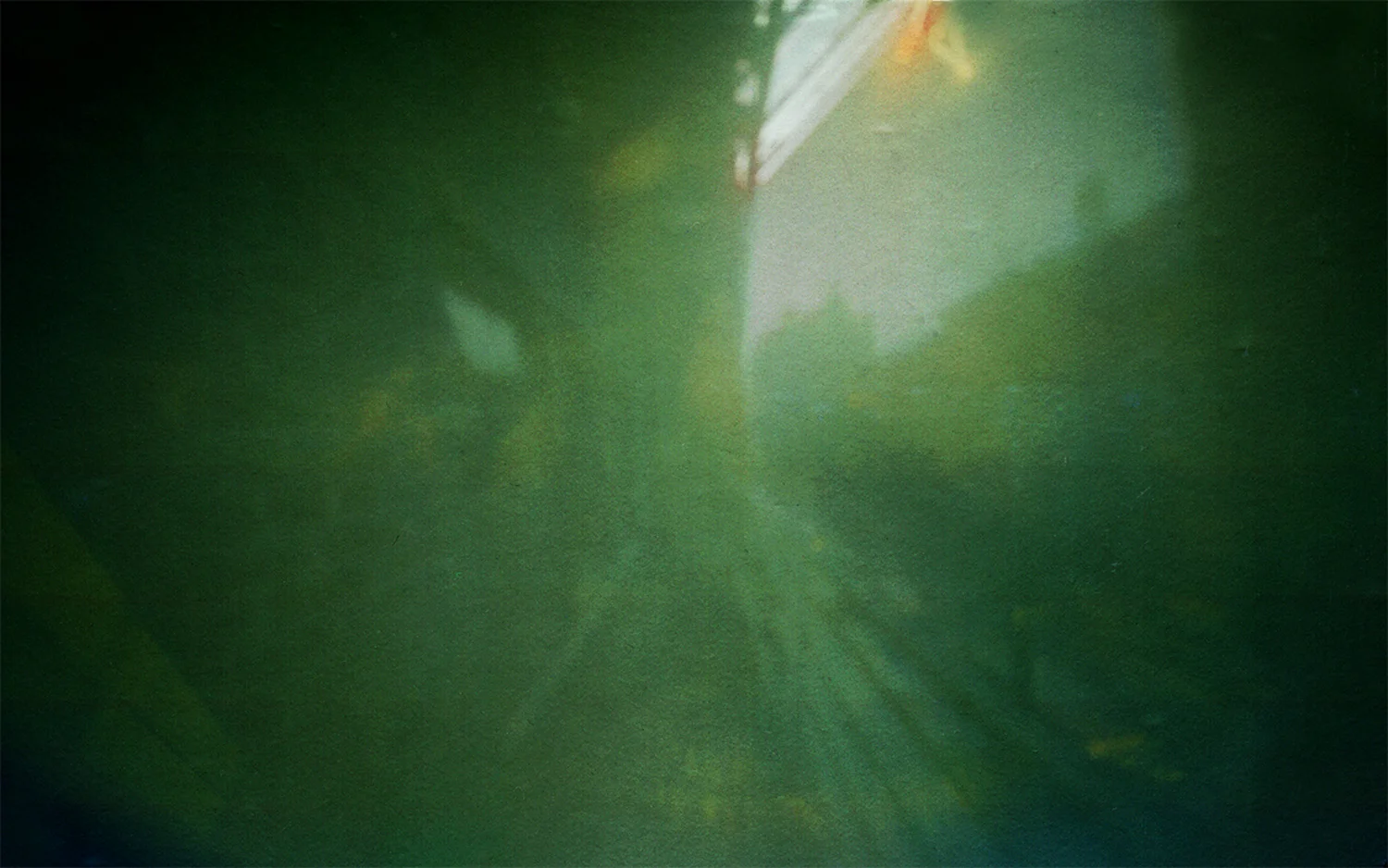 Jill Enfield