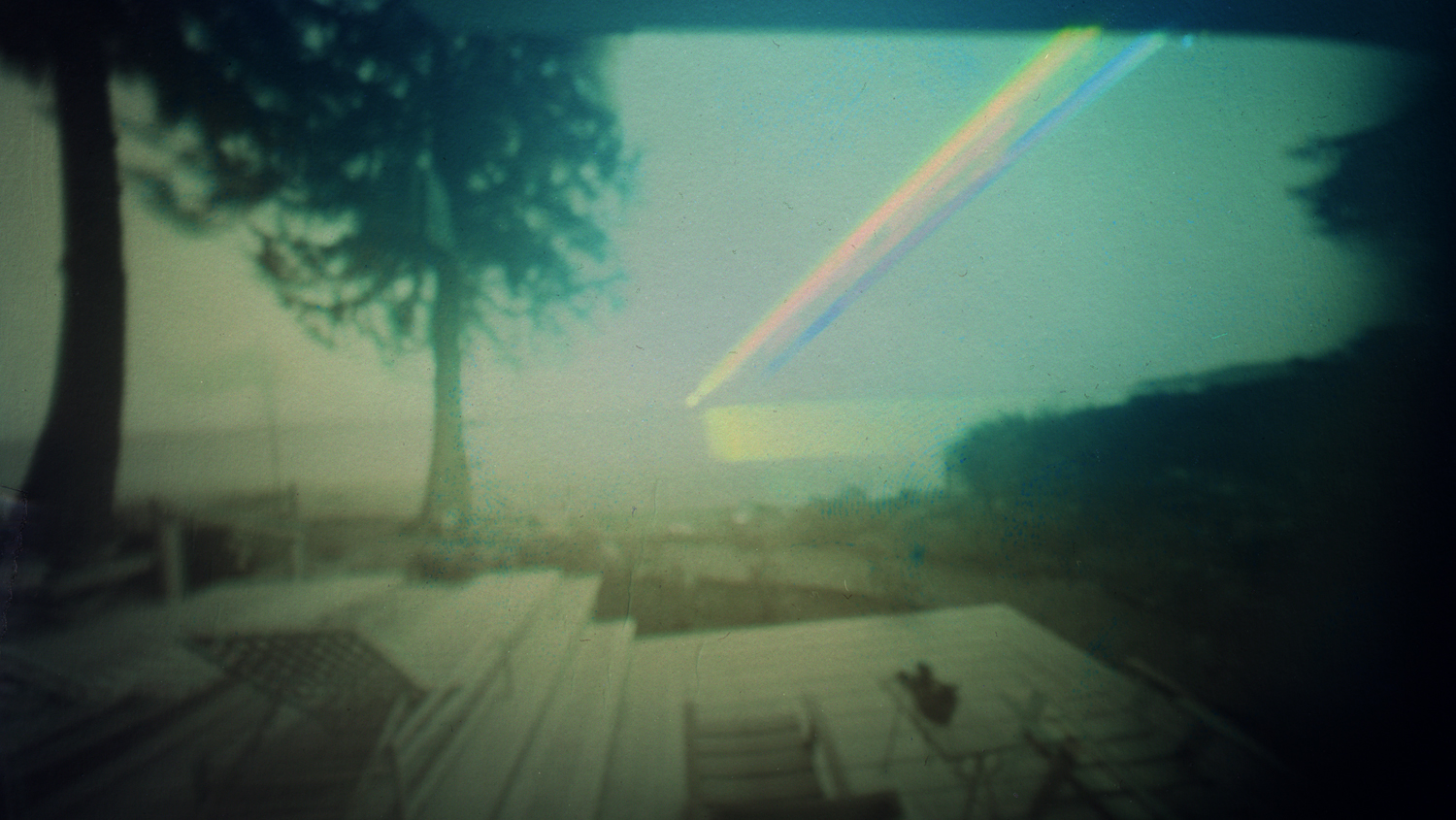 Image by Isabel Thompson