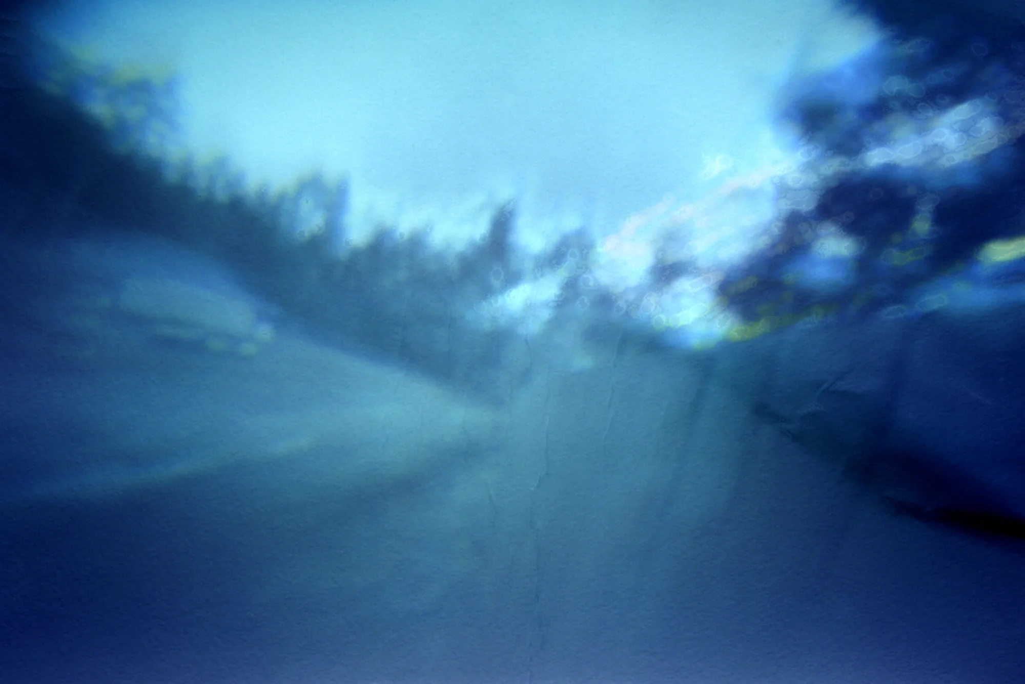 Samantha Gerlach