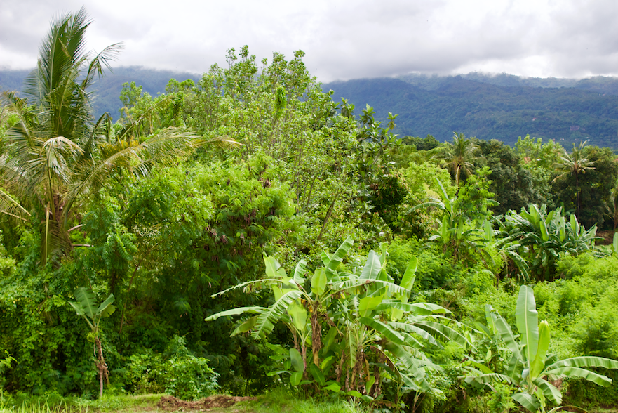 View of Mountains