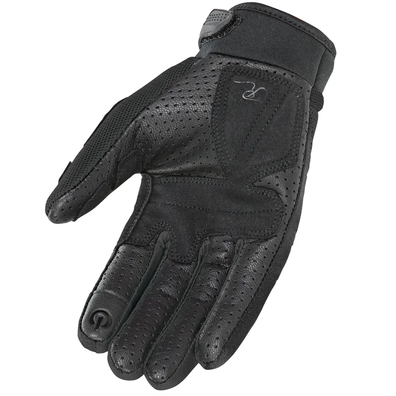 LadiesBigBang-Black-Palm.jpg