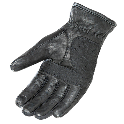 diamondback_ladies palm.jpg