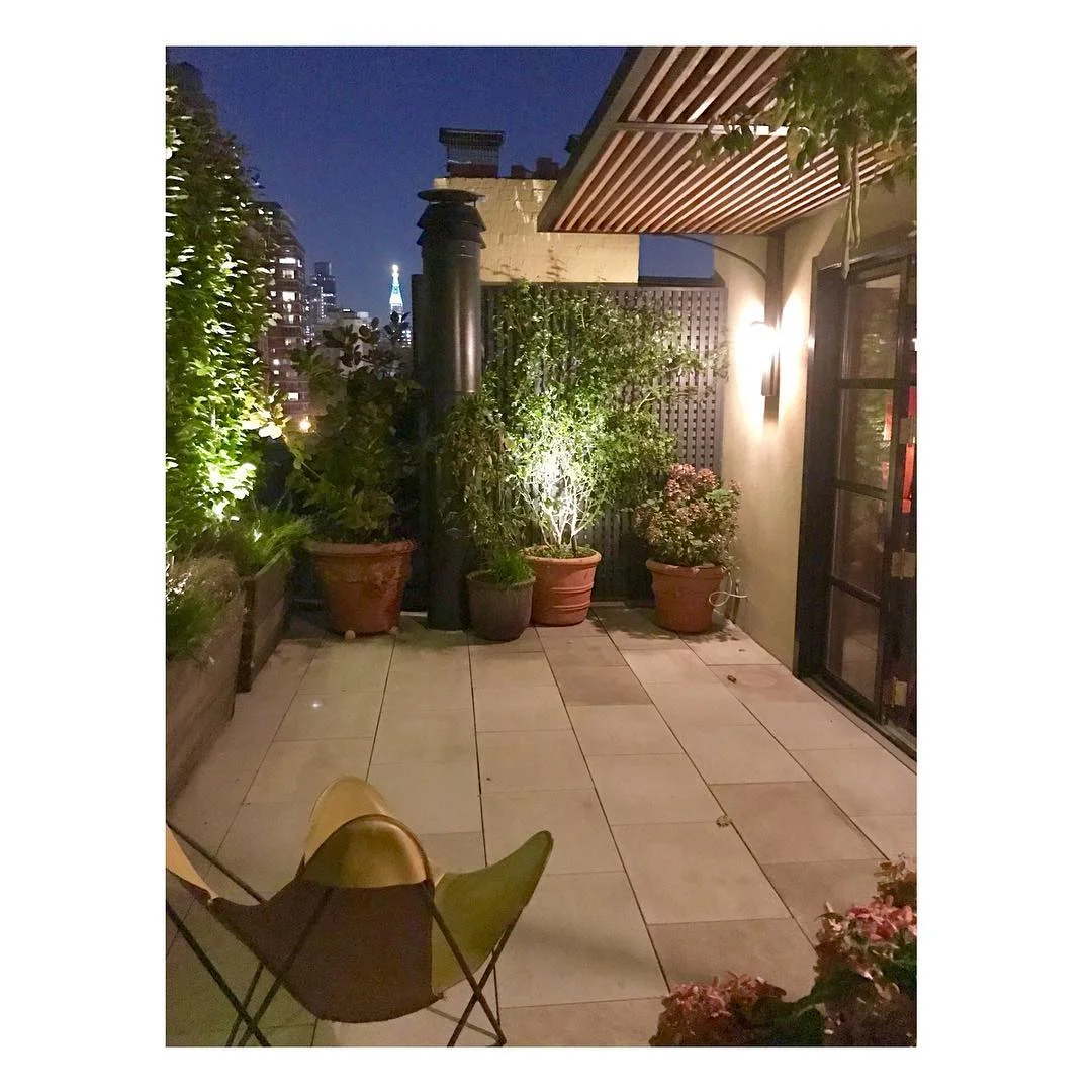 23rd pergola 1.jpg