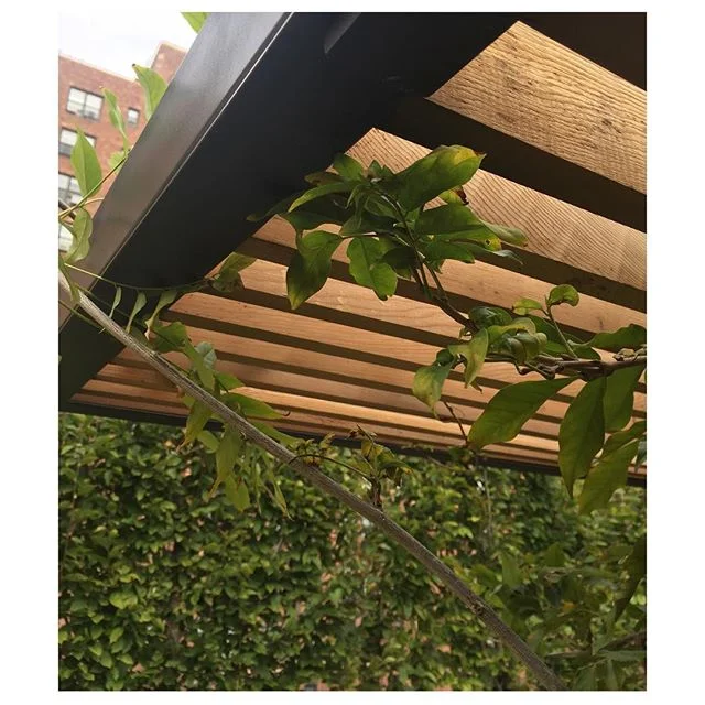 23rd pergola detail.jpg