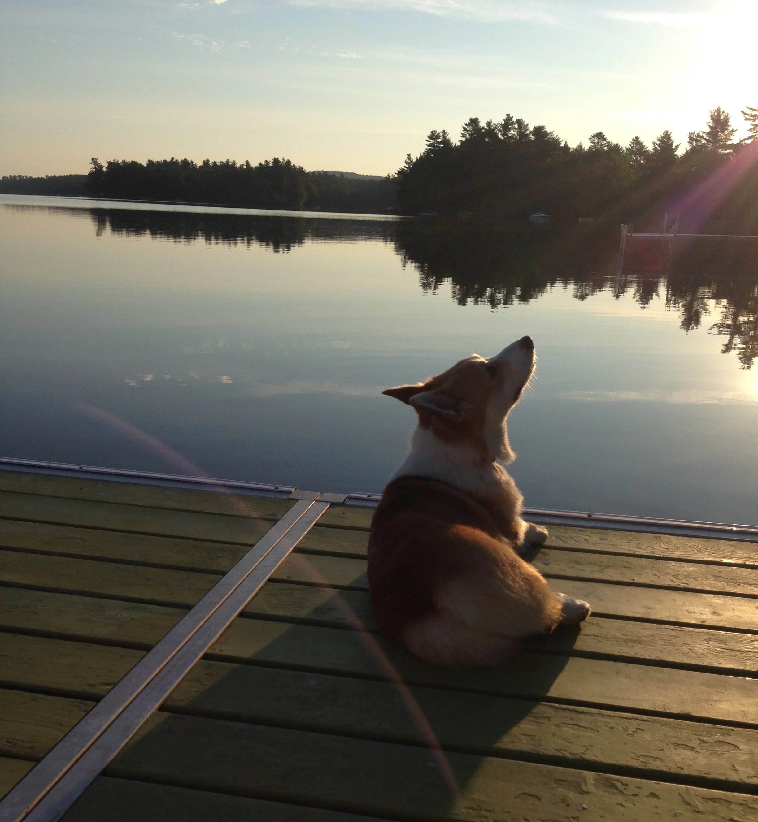 IMG_2891 (Edited).JPG