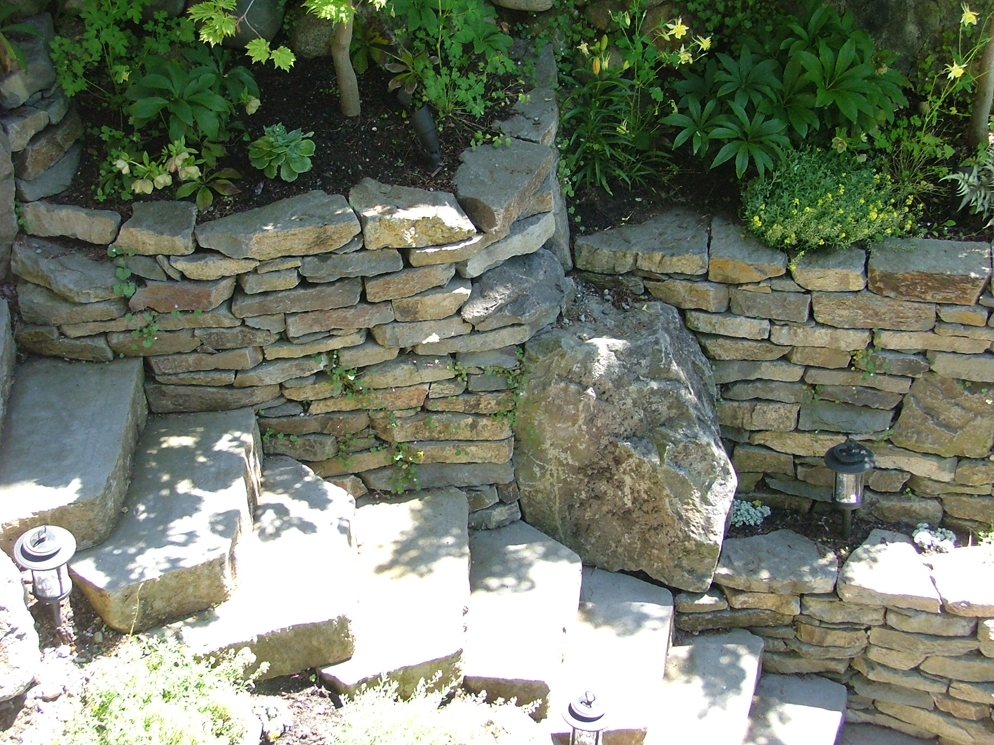 DSCF6025.JPG