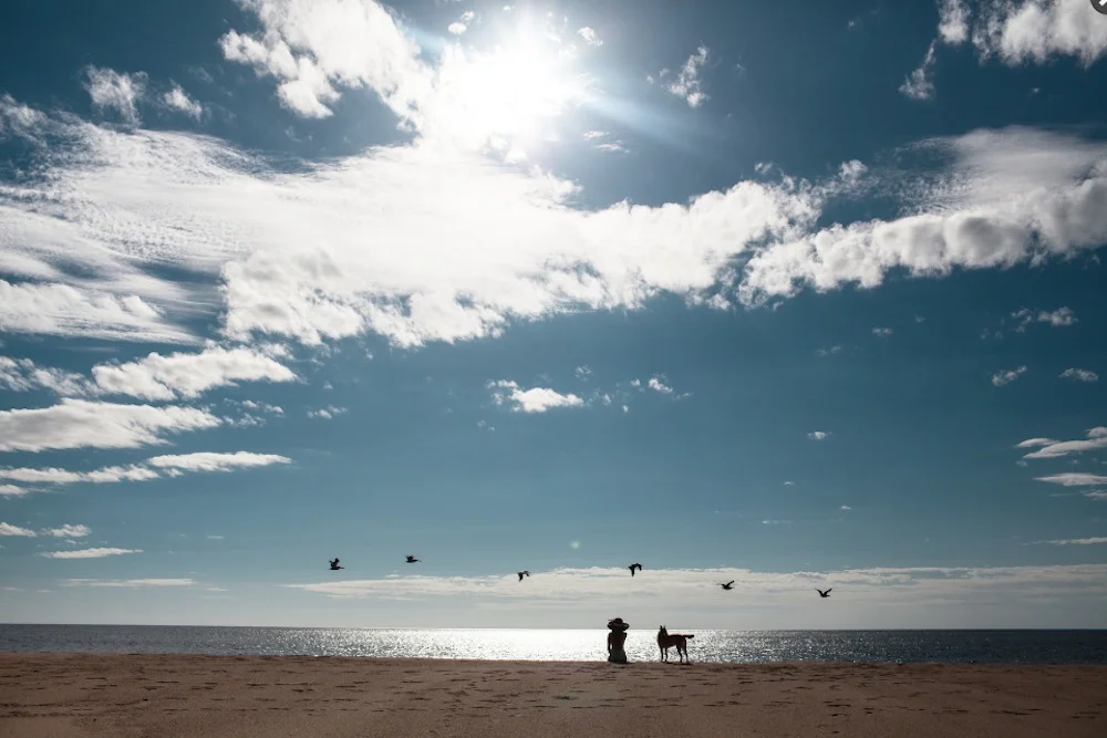 There is nothing quite like this, especially on the Costalegre of Mexico