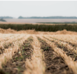 BELONGING: Somewhere/Nowhere In Ukraine