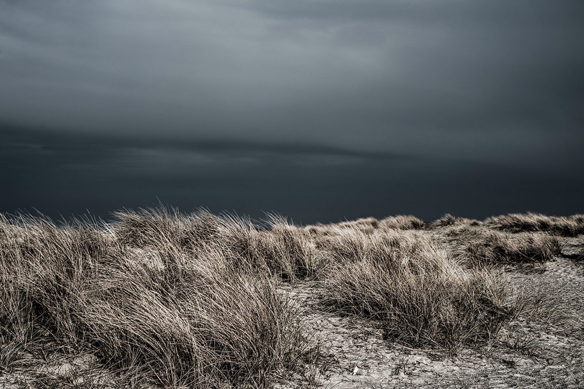 10TH International Color Awards