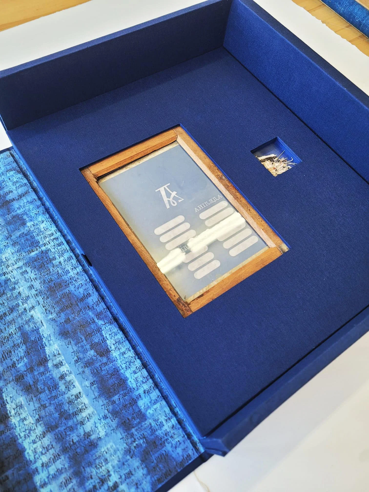 PHOTO-2026-04-24-12-07-22 2.jpg