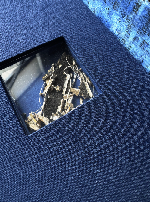 Screenshot 2026-02-04 at 10.30.37 AM.png