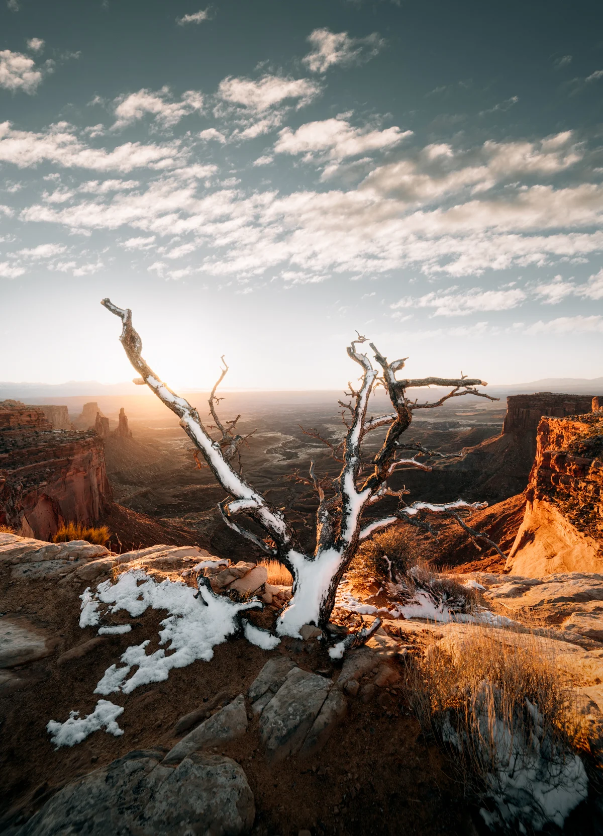 _TSM4642-Edit.jpg