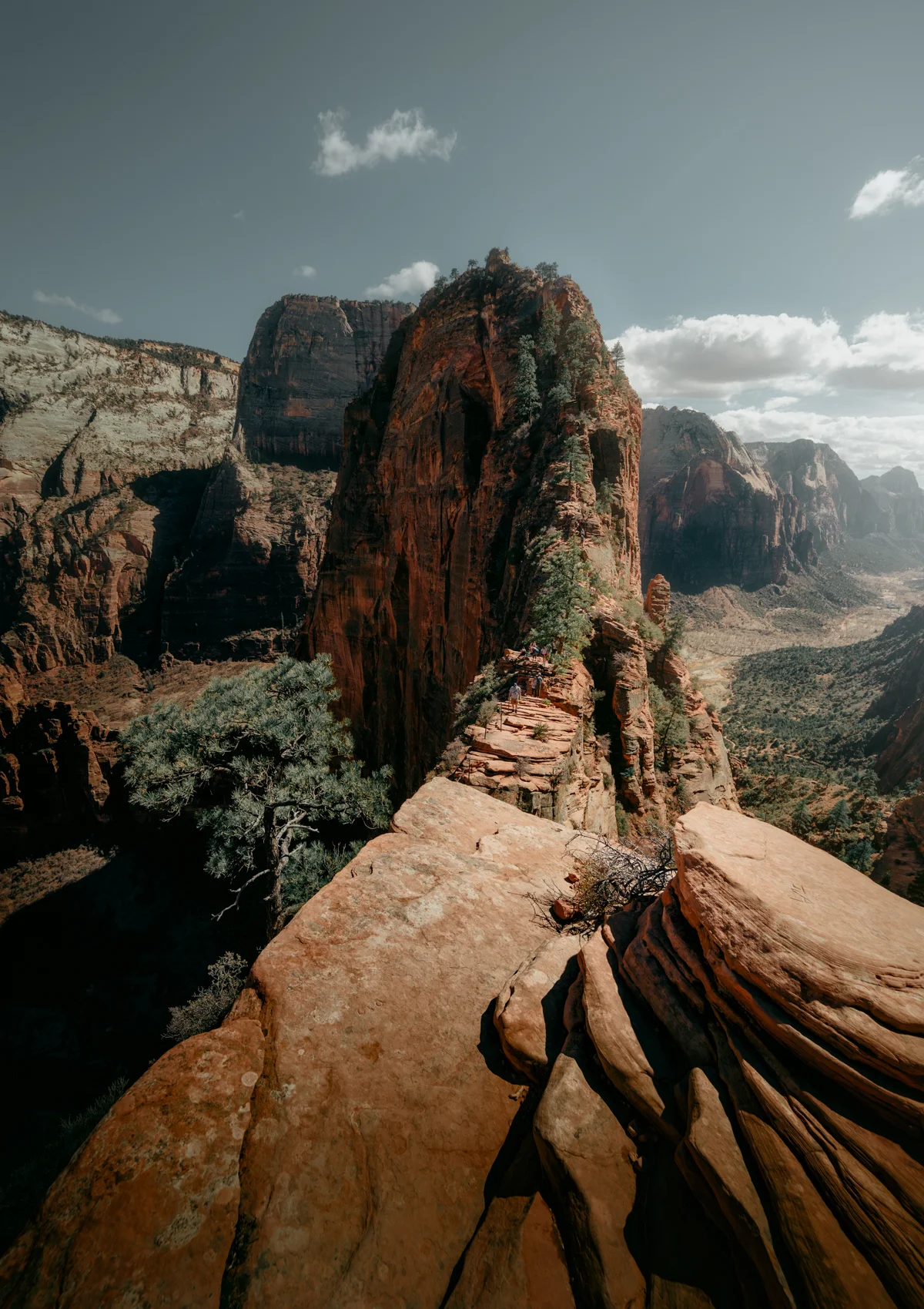 _TSM2977-Edit.jpg