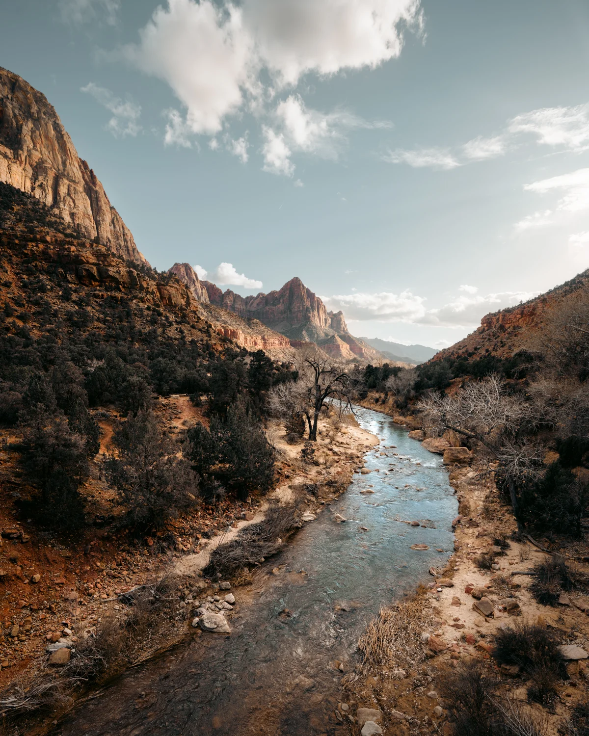 _TSM3021-Edit.jpg