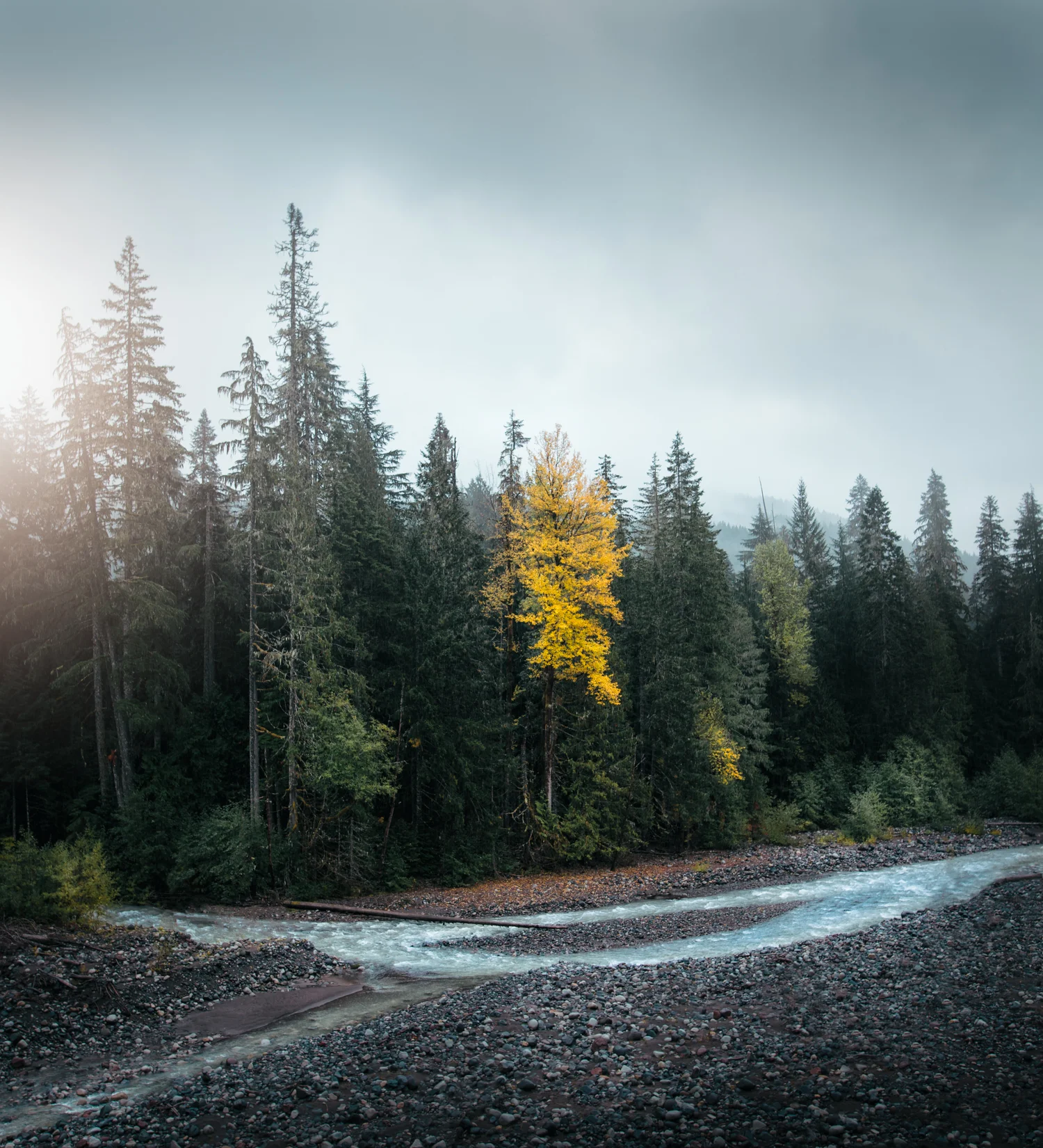 _MG_3066-1-Edit-CC.jpg