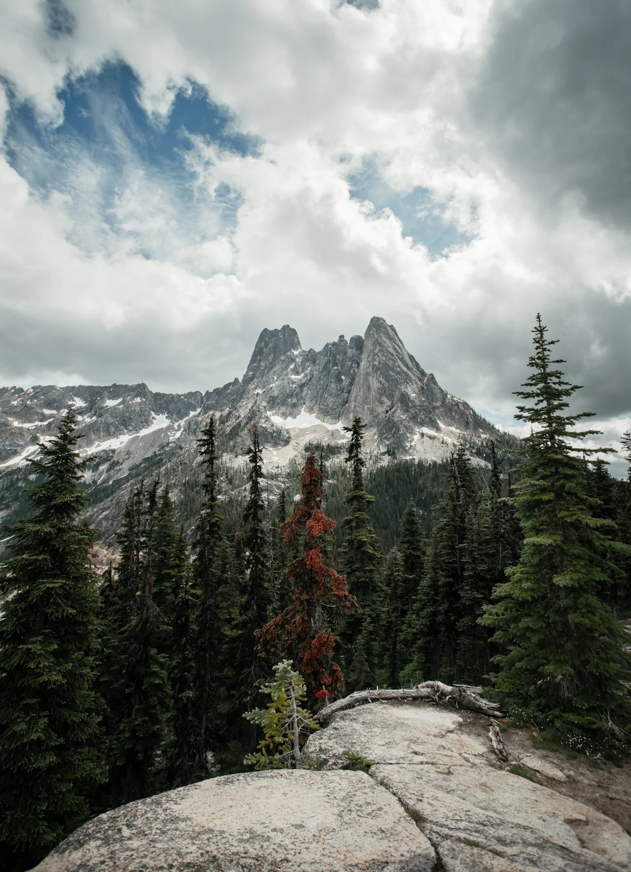 _TSM0020-HDR-1.jpg