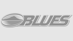 Grey-Logo_Blues.png