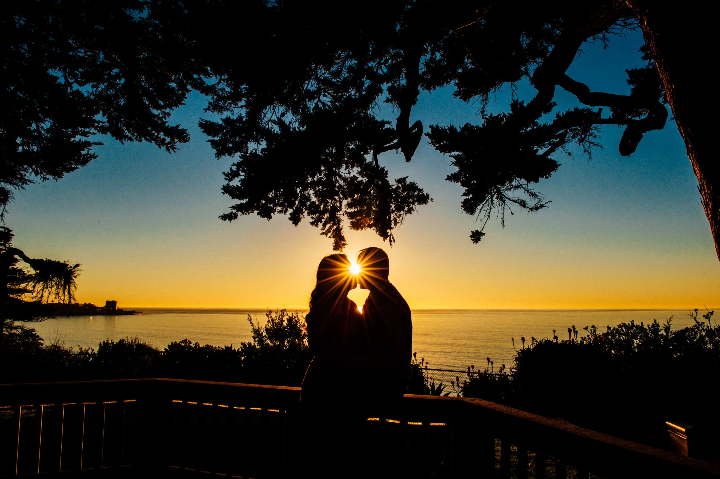 DSC_6198-Edit.jpg