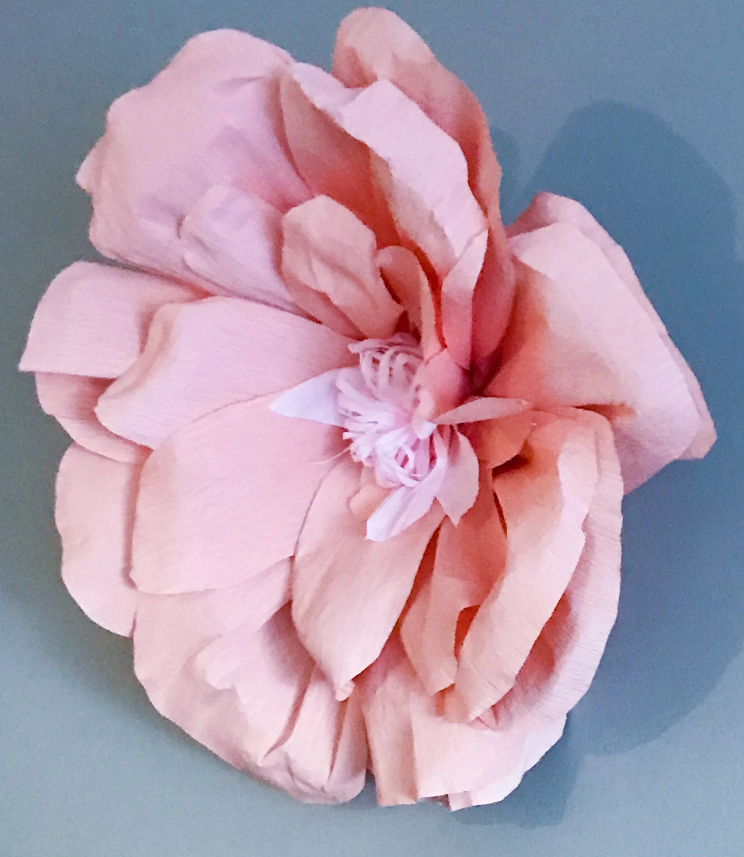 wallflower.jpg