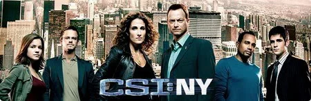 CSI-2.jpg