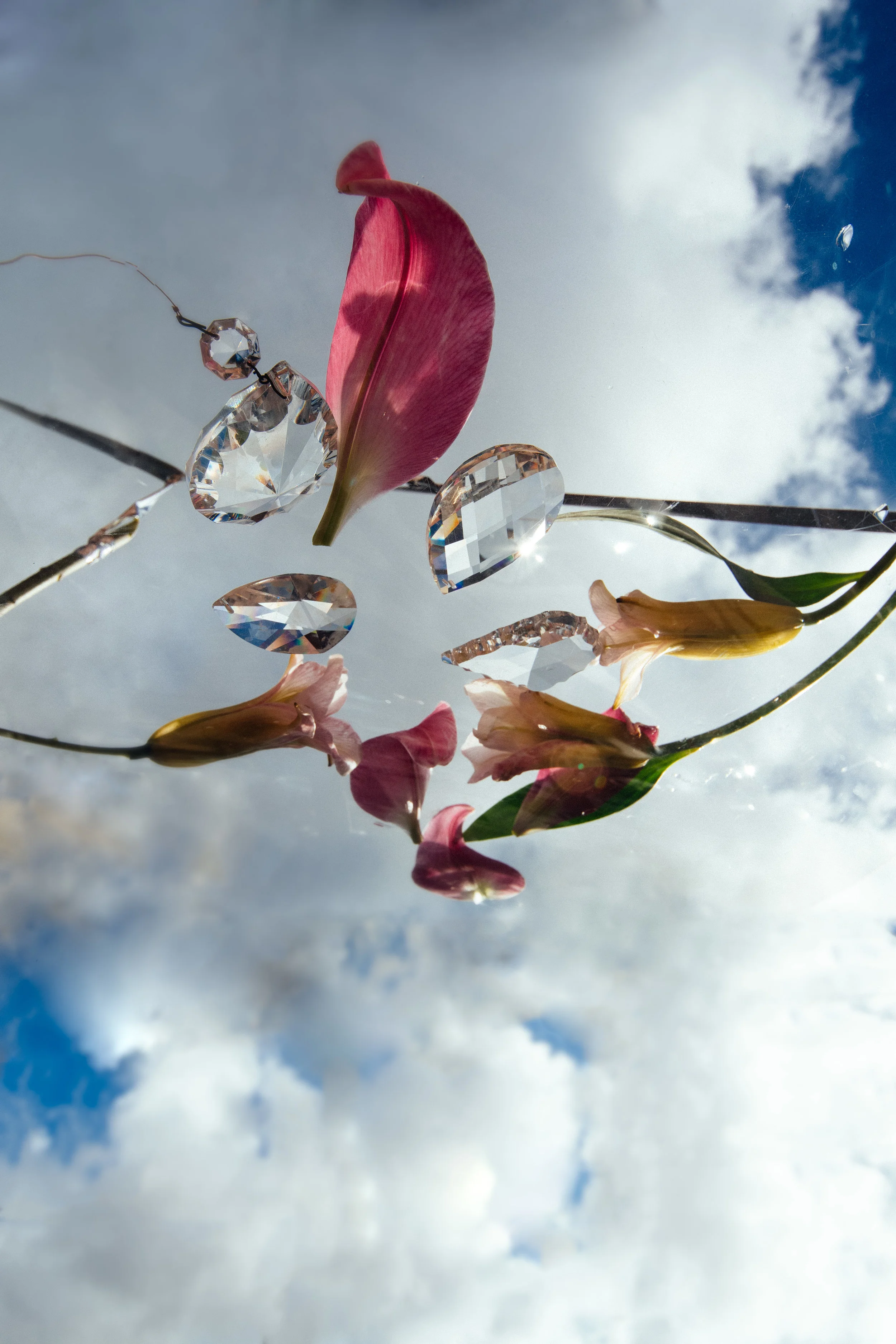 4EC88836-CA04-43AC-84AD-6547C225CAA5.jpeg