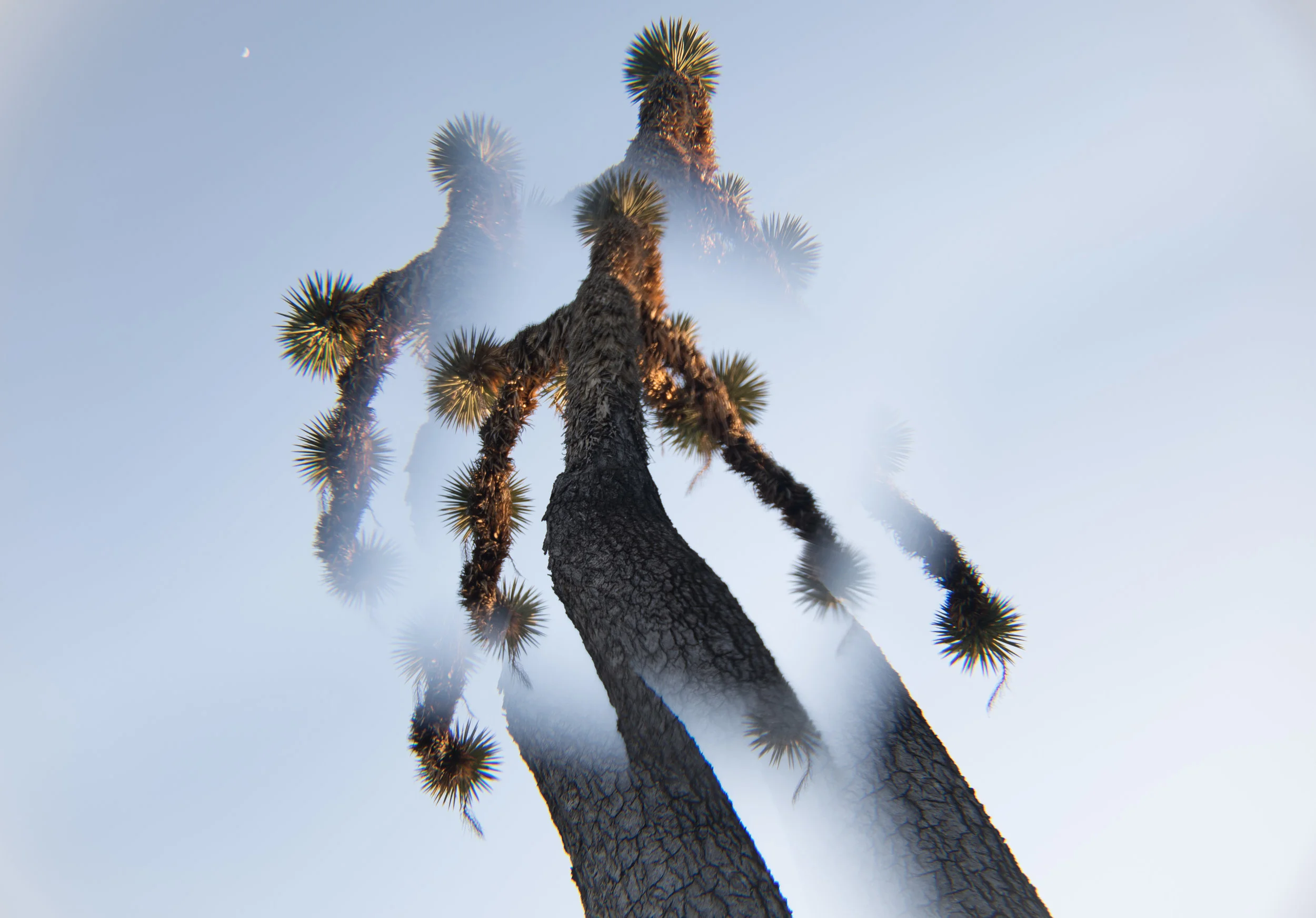 32701035-F3AB-4190-A285-576AD8A99F5B.jpeg