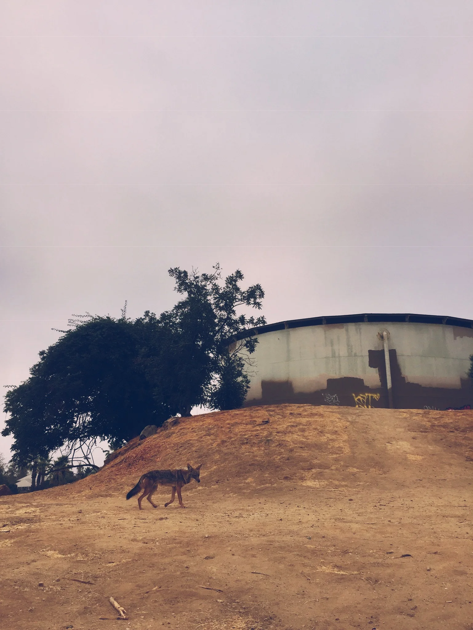 C7100780-1E94-41AA-B806-0A71B097A1AE.jpeg