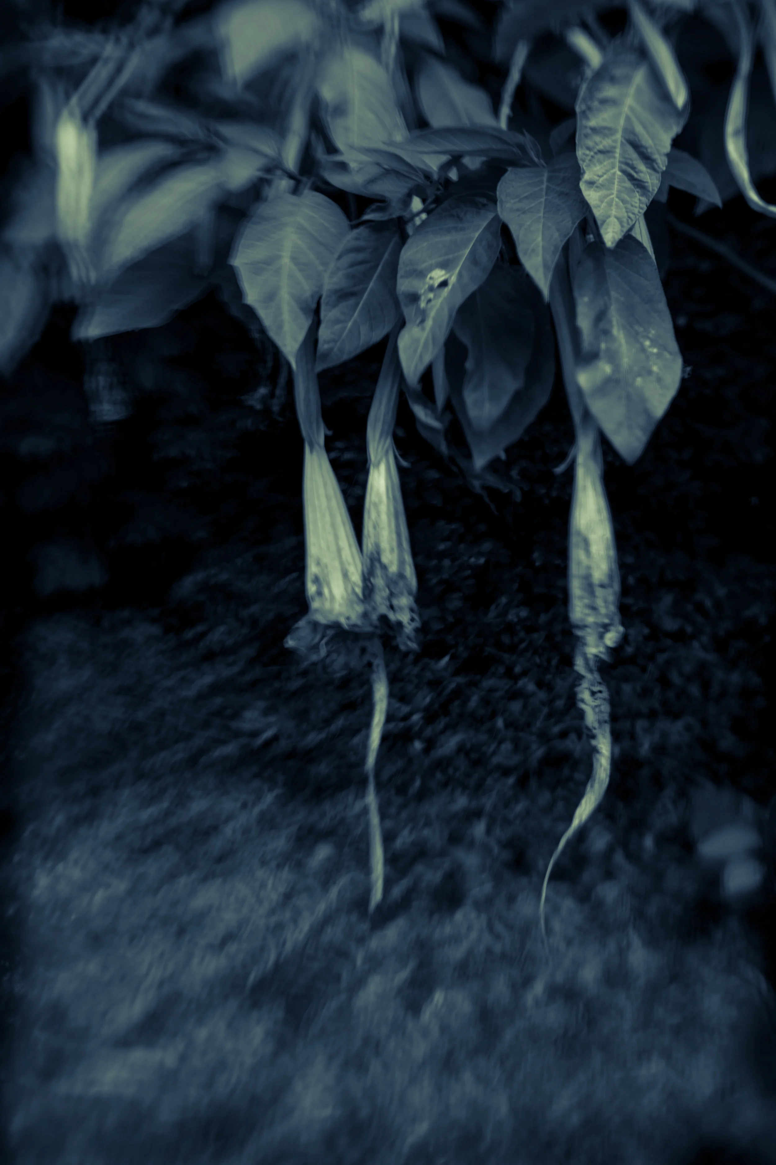764AD700-02A3-4AC0-8B73-DB947C5B65D4.jpeg