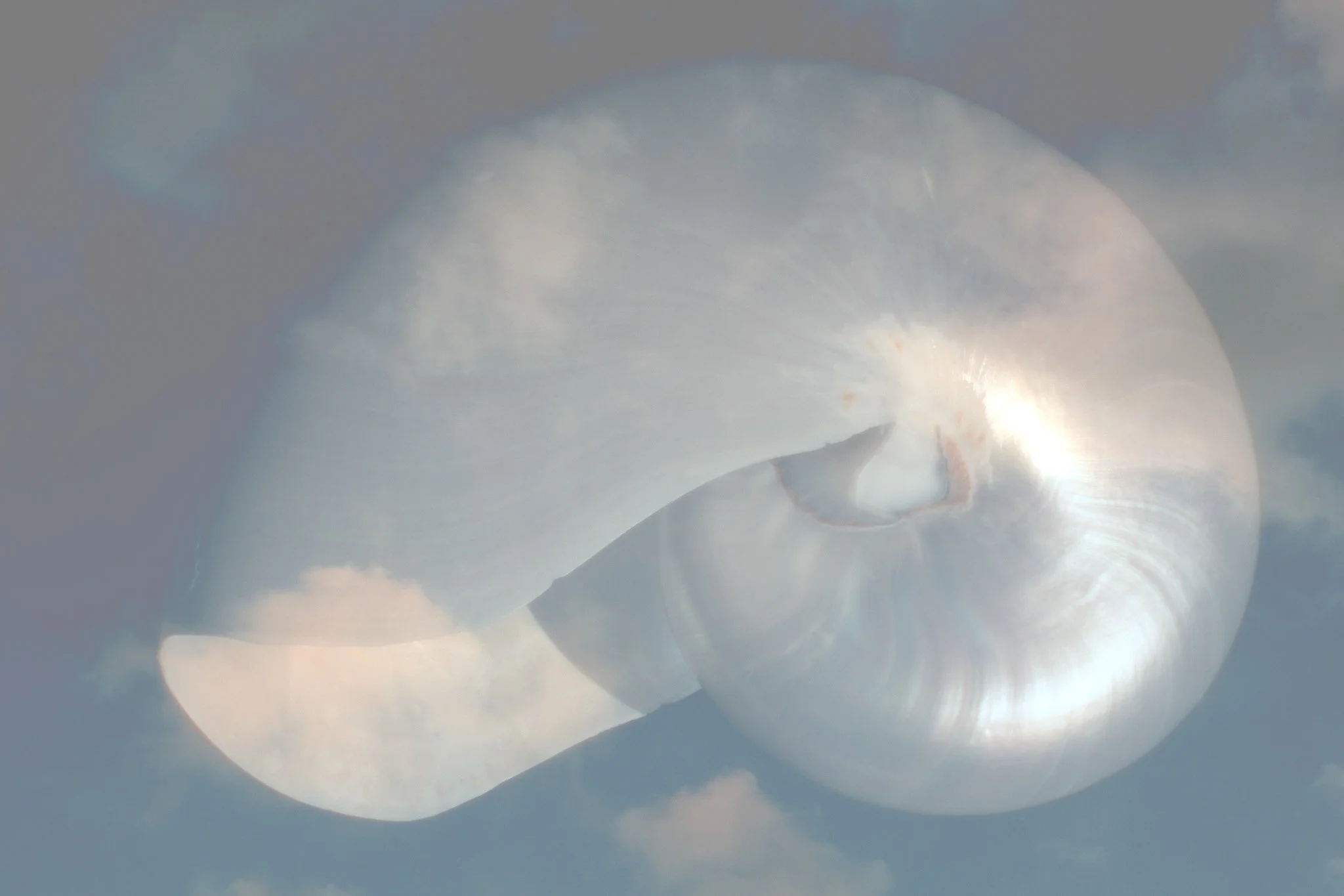 cloud2DSC_8599-Edit.jpg