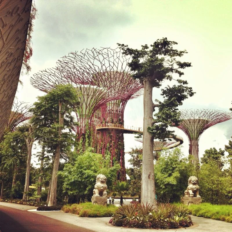 Carlos Espindola nos cuenta de su viaje a Singapore