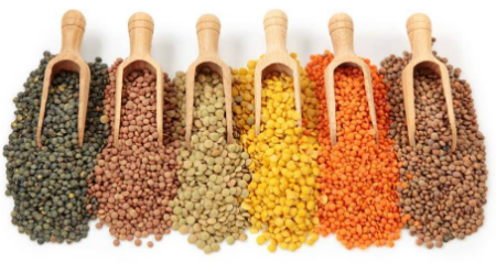 different-types-pulses-1.jpg